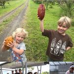 Lavaloha Chocolate - Farm Tours