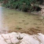 Dinosaur Valley State Park