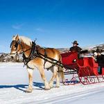 Sleigh Rides