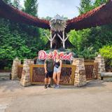 Dollywood