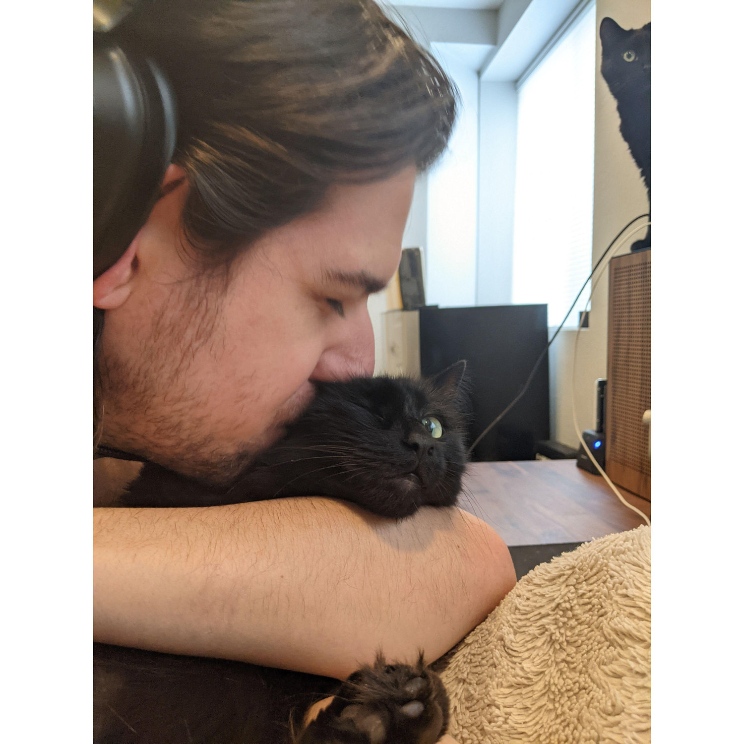 romeow in background: i am in danger