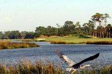 Osprey Point Golf Course