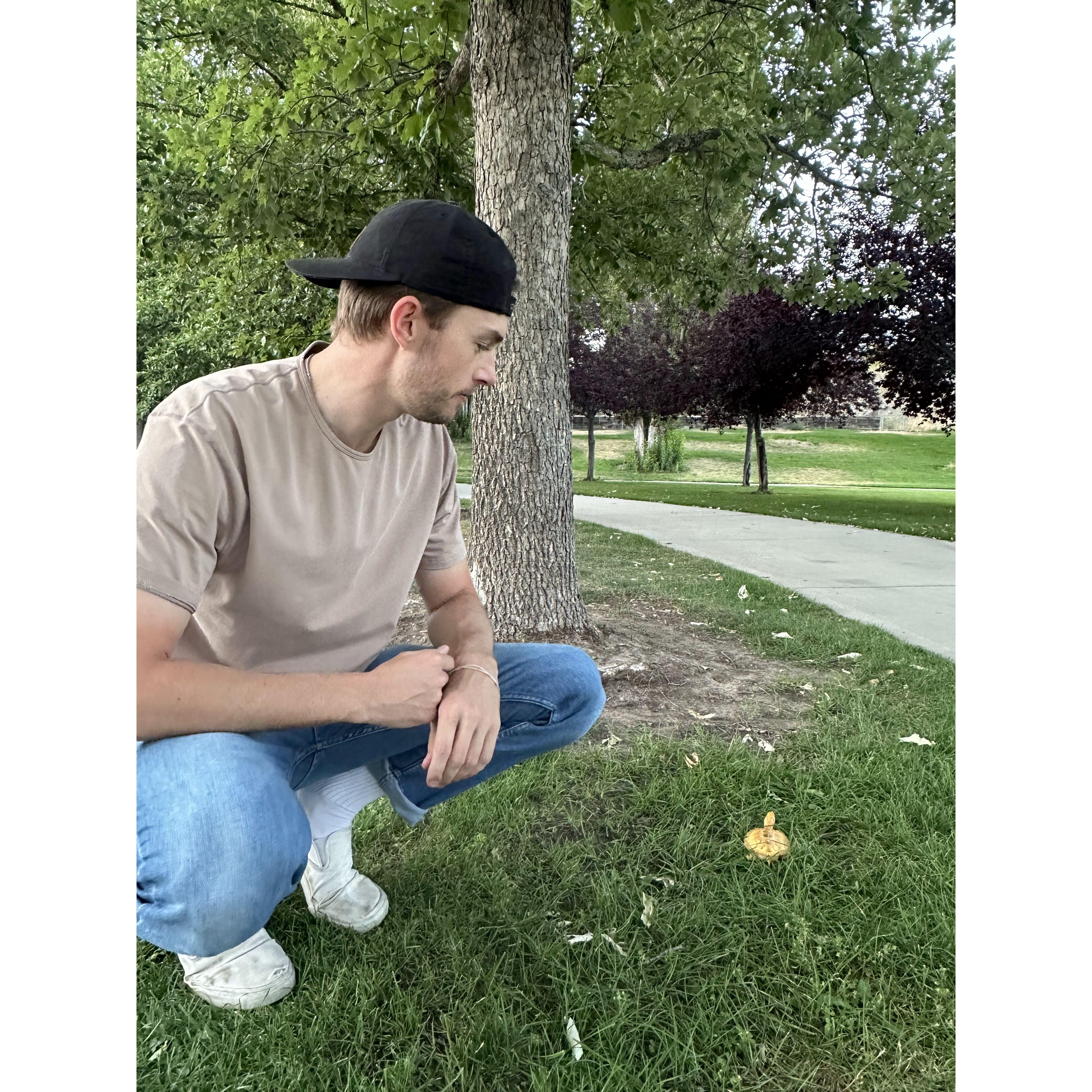 Park Dates with Sunshine