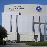 Virginia Aquarium & Marine Science Center