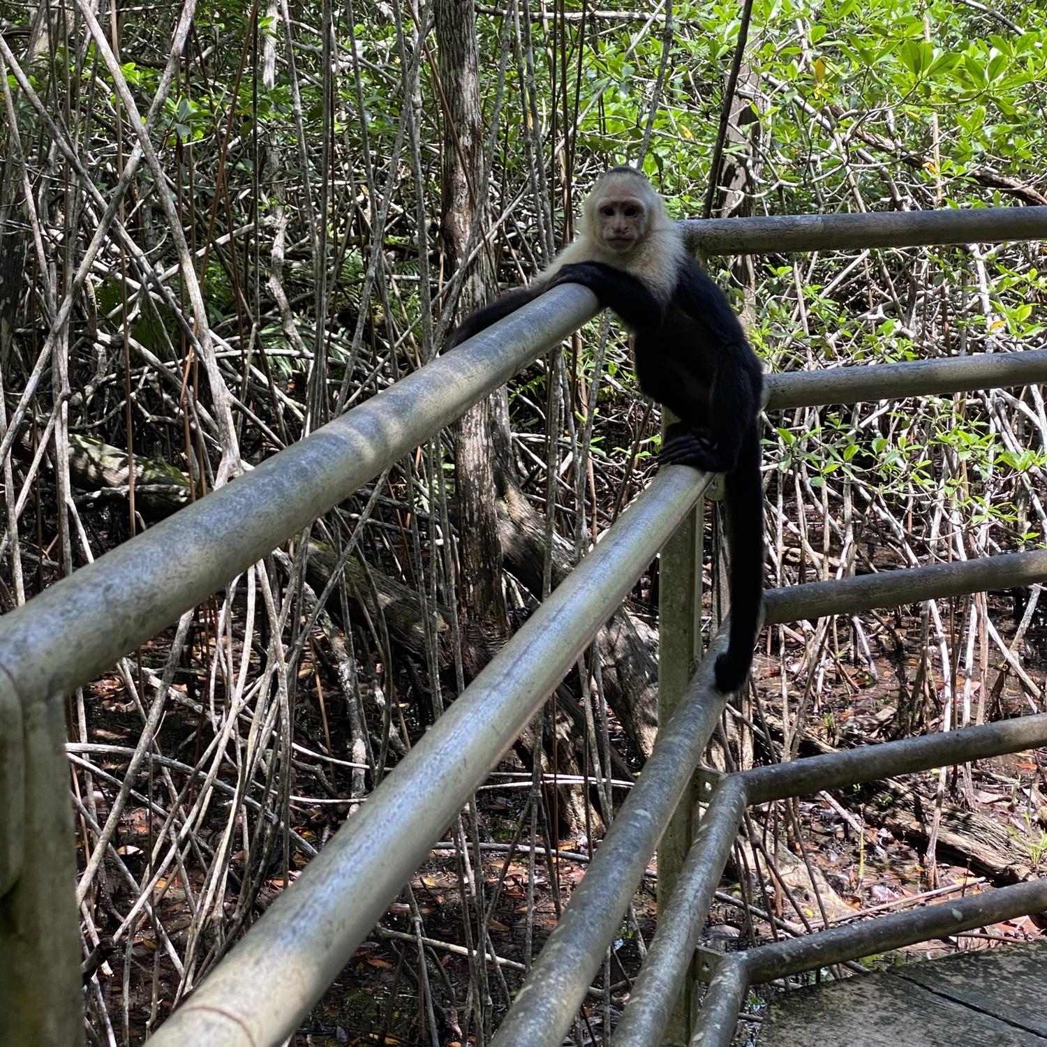 Manuel Antonio National Park