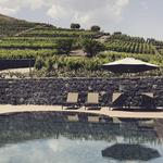 Visita y Cata en la Bodega Benanti (Etna)