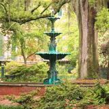 Savannah Squares