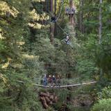 Mount Hermon Adventures