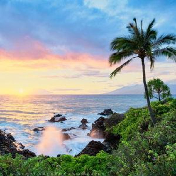 Hawaii Honeymoon Fund