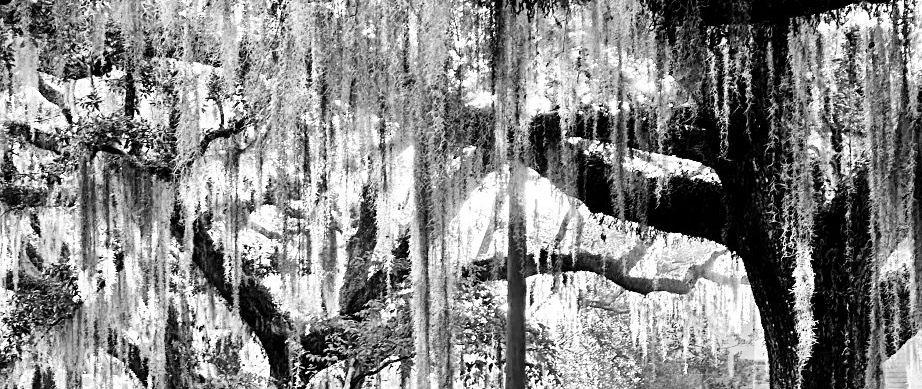 The Wedding Website of Ioana Rotaru and Joey Studer