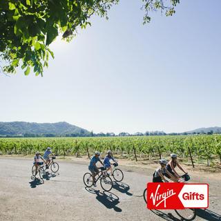 Half-Day Wine and E-Bike Tour for Two - Napa Valley
