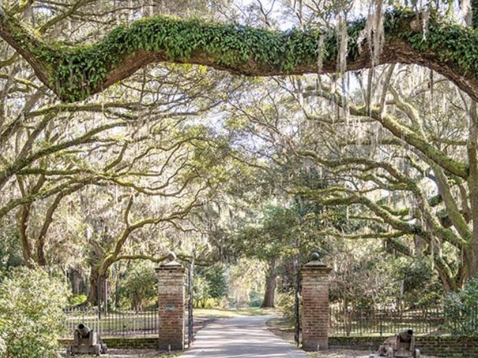 The Wedding Website of Taylor Rittenhouse and Joth Volta