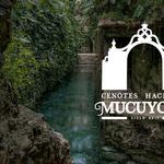 Cenotes Hacienda Mucuyché