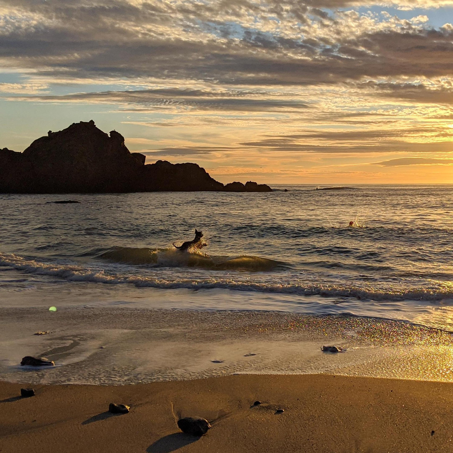 Sunset at Pfieffer Big Sur State Park