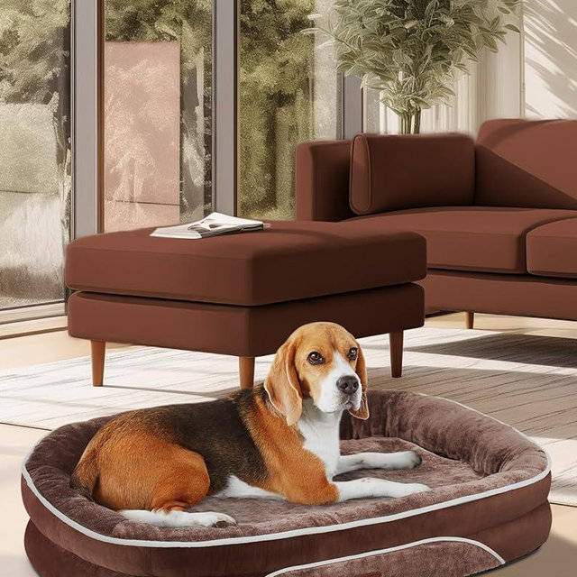 OhGeni Orthopedic Dog Bed Couch for Large Sized Pets with Egg Foam Support, Four-Sided Bolster Cushions, Soft Tear-Resistant Fabric, and Removable Machine Washable Plush Cover 35-Inch (Brown)