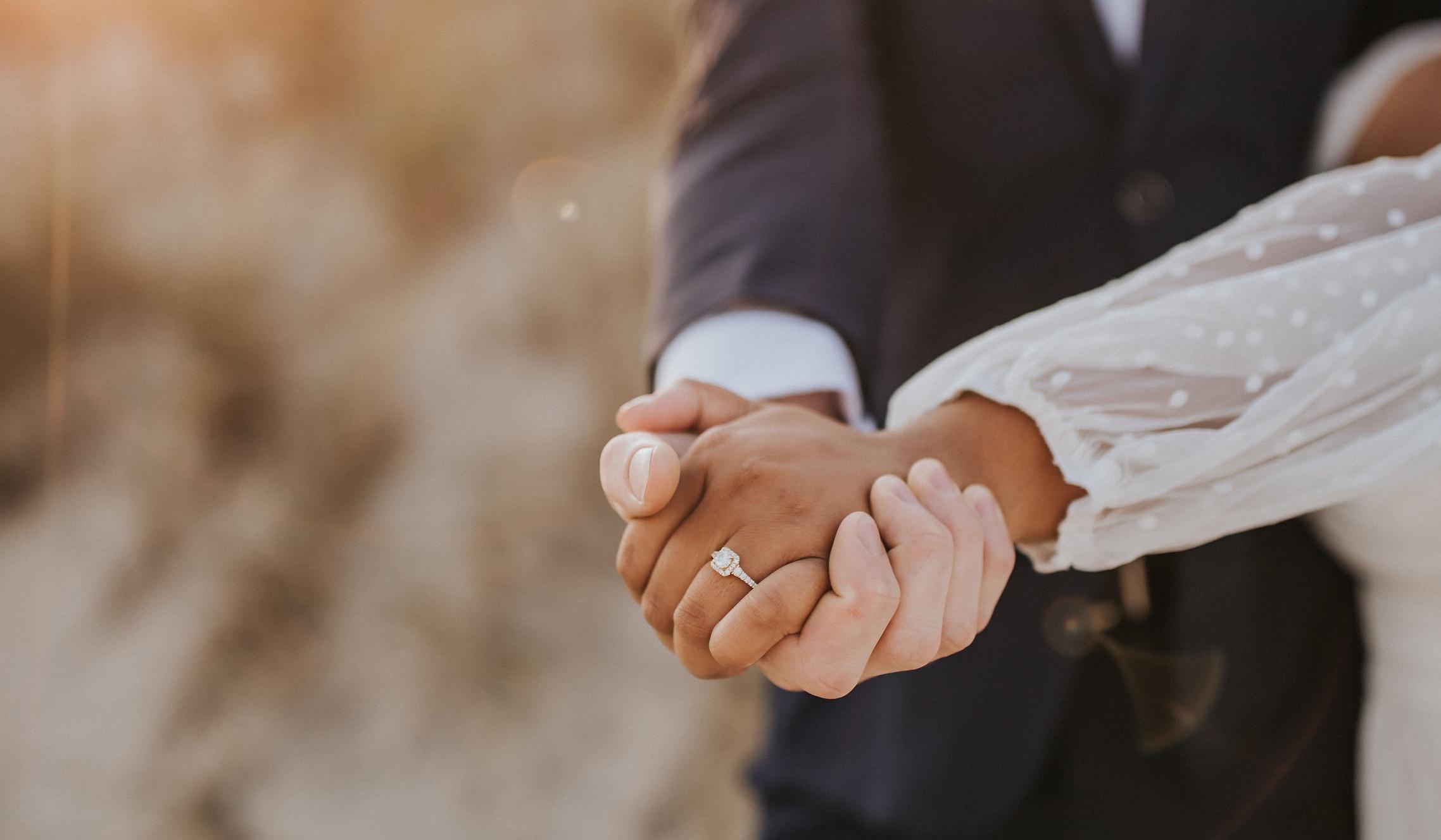 The Wedding Website of Daniel Sinner and Krishna Patel