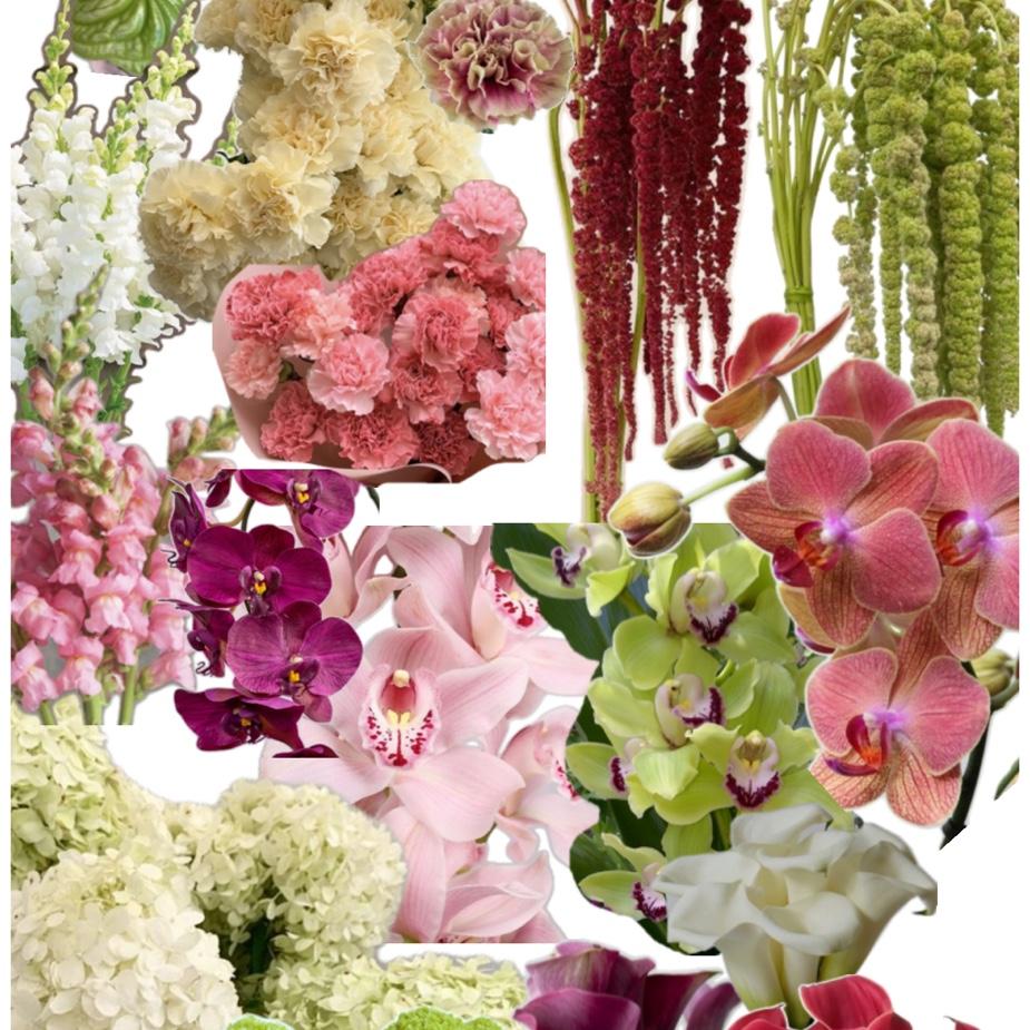 Floral colors