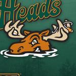 A Paddlehead Game at Ogren Park