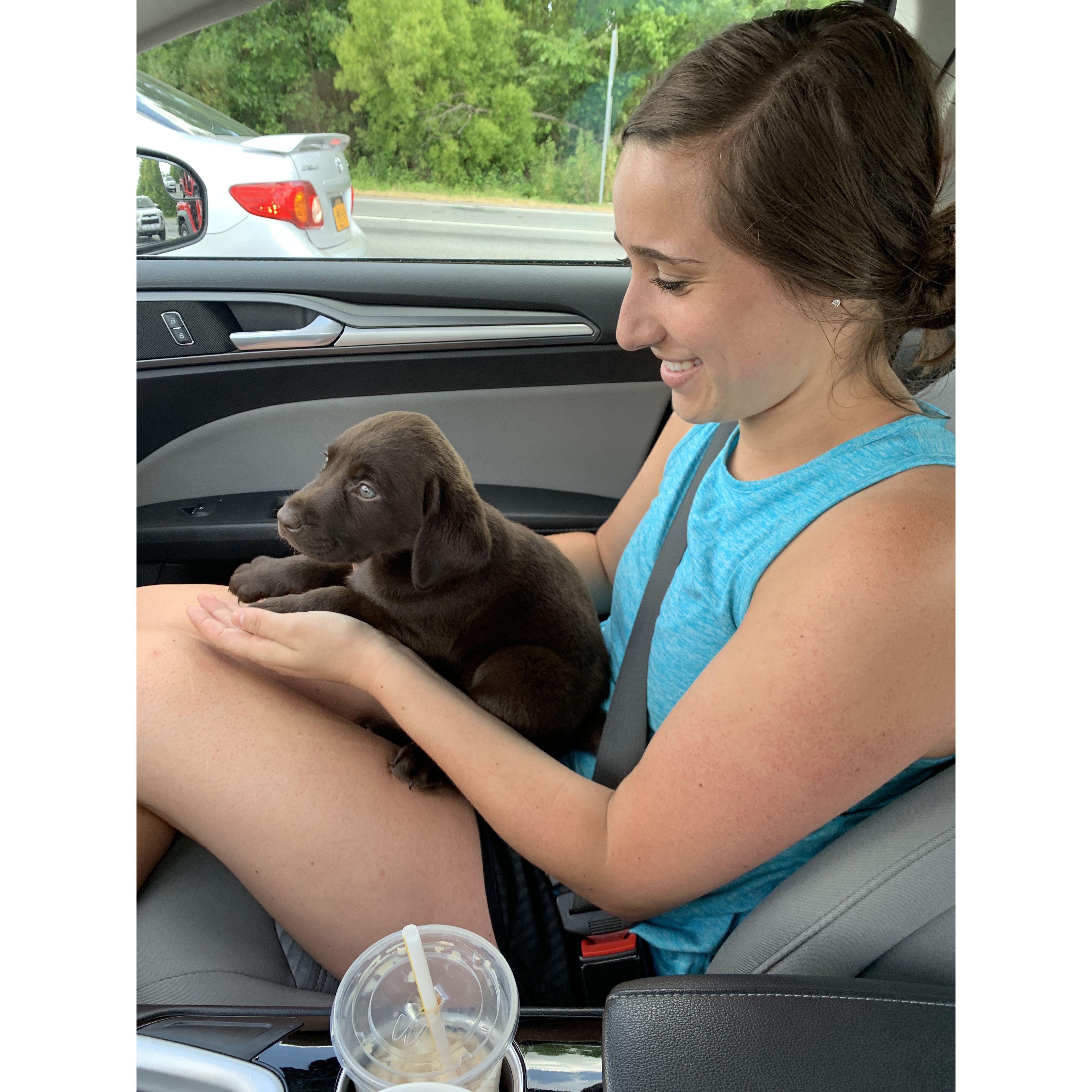 June 1, 2019 - Year 2 of watching a 6 week old puppy. Aubrey has begged Ozzie every day for a puppy since this event.