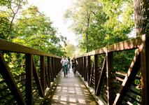Marshall River walk