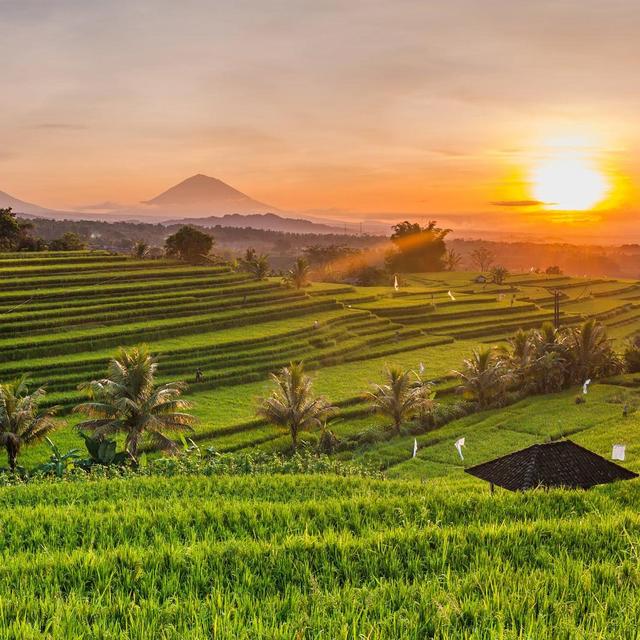 3 Nights Stay in Bali