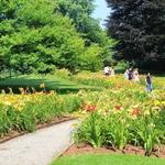 Berkshire Botanical Garden