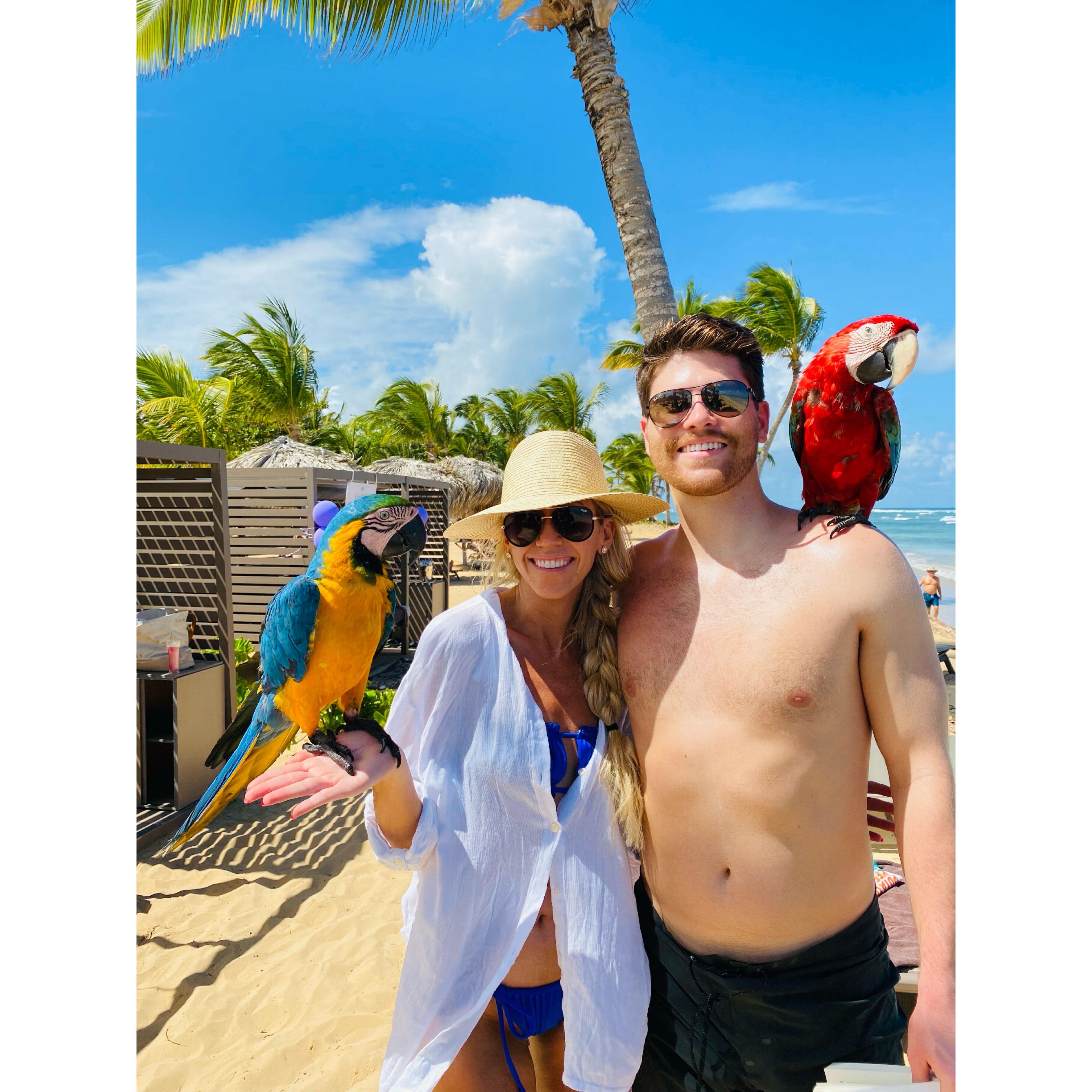 February 2022 - Punta Cana