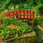 Miami Beach Botanical Garden