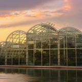 Sophia M. Sachs Butterfly House