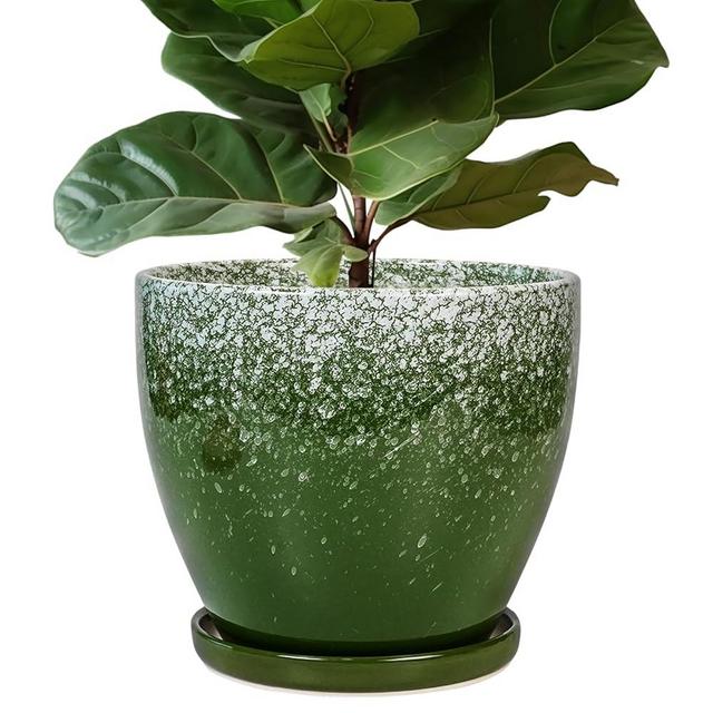 EPFamily 10 Inch Plant Pot - Ceramic Planters for Indoor Plants Outdoor, Large Planter with Drainage Hole and Saucer, Decorative Round Flower Pots, Garden House Decor, Gifts for Plant Lovers, Green