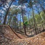 Northwoods Trails