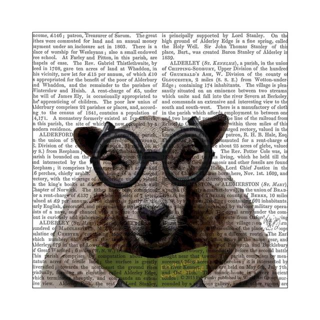 Thirstystone Animal Print Coasters Set of 4 - Intelligent Sheep