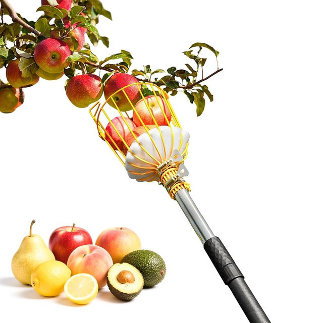 BlumeTrec 13.5FT Fruit Picker with Basket, Apple Picking Tool 35–161" Adjustable Pole, Long-Handle Mango Grabber, Tree Fruit Catcher for Harvesting Lemon Pear Orange Avocado Peach Citrus Grapefruit