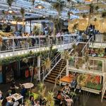 Anaheim Packing District