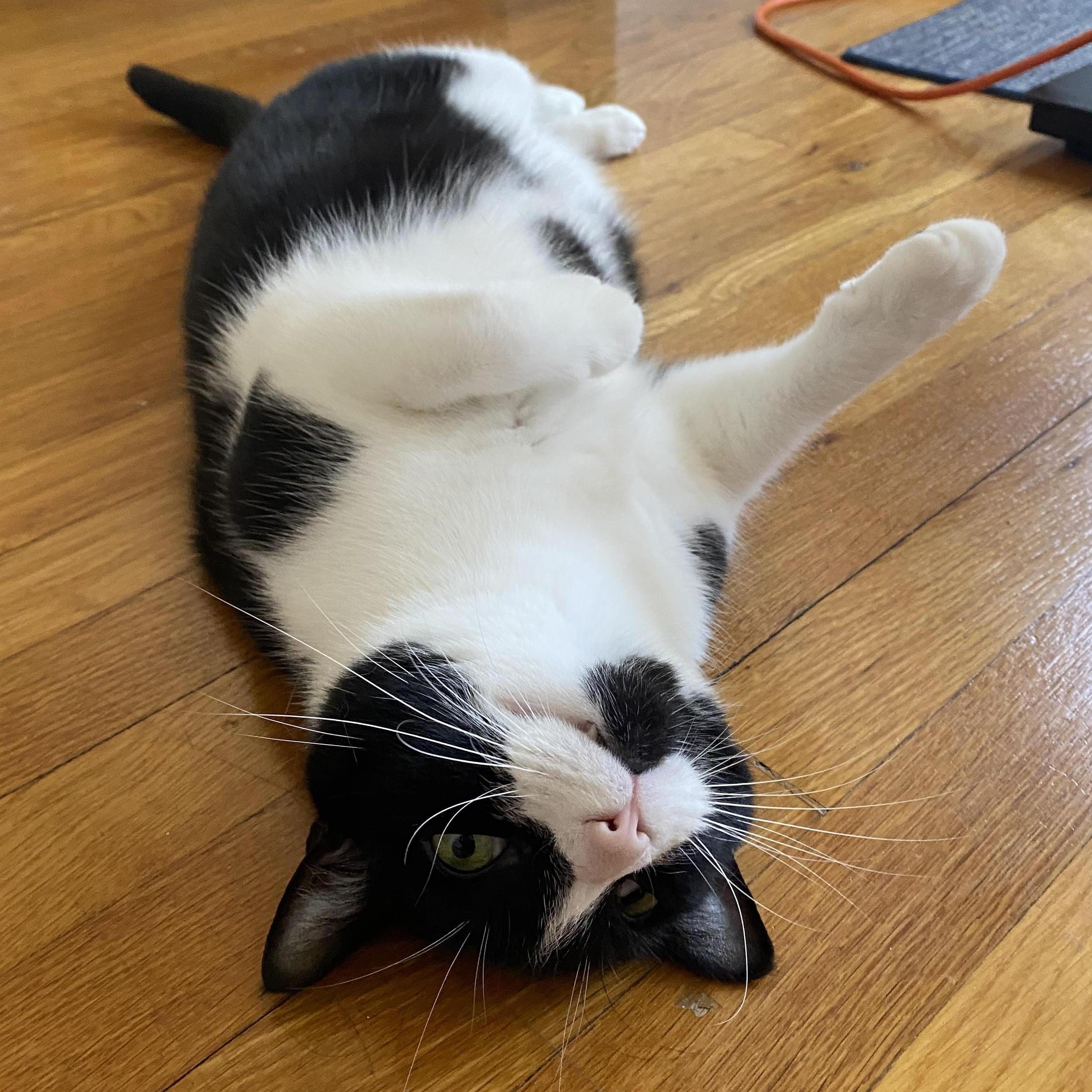 Our Weird Little Boy