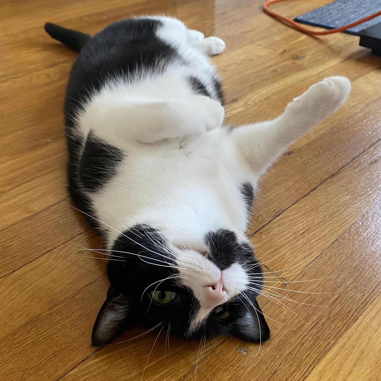 Our Weird Little Boy
