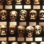 The Mütter Museum at The College of Physicians of Philadelphia