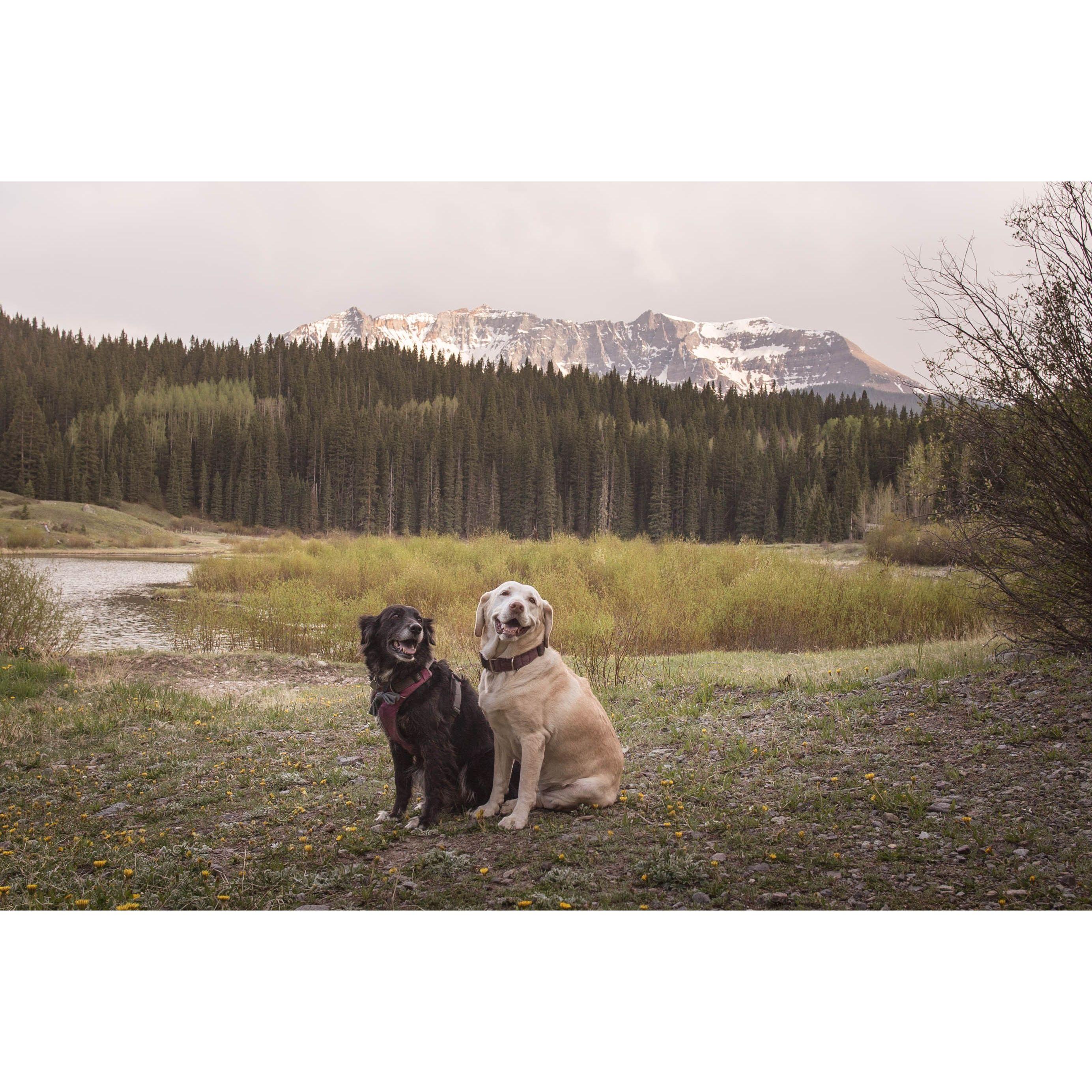 Margo + Georgia <3