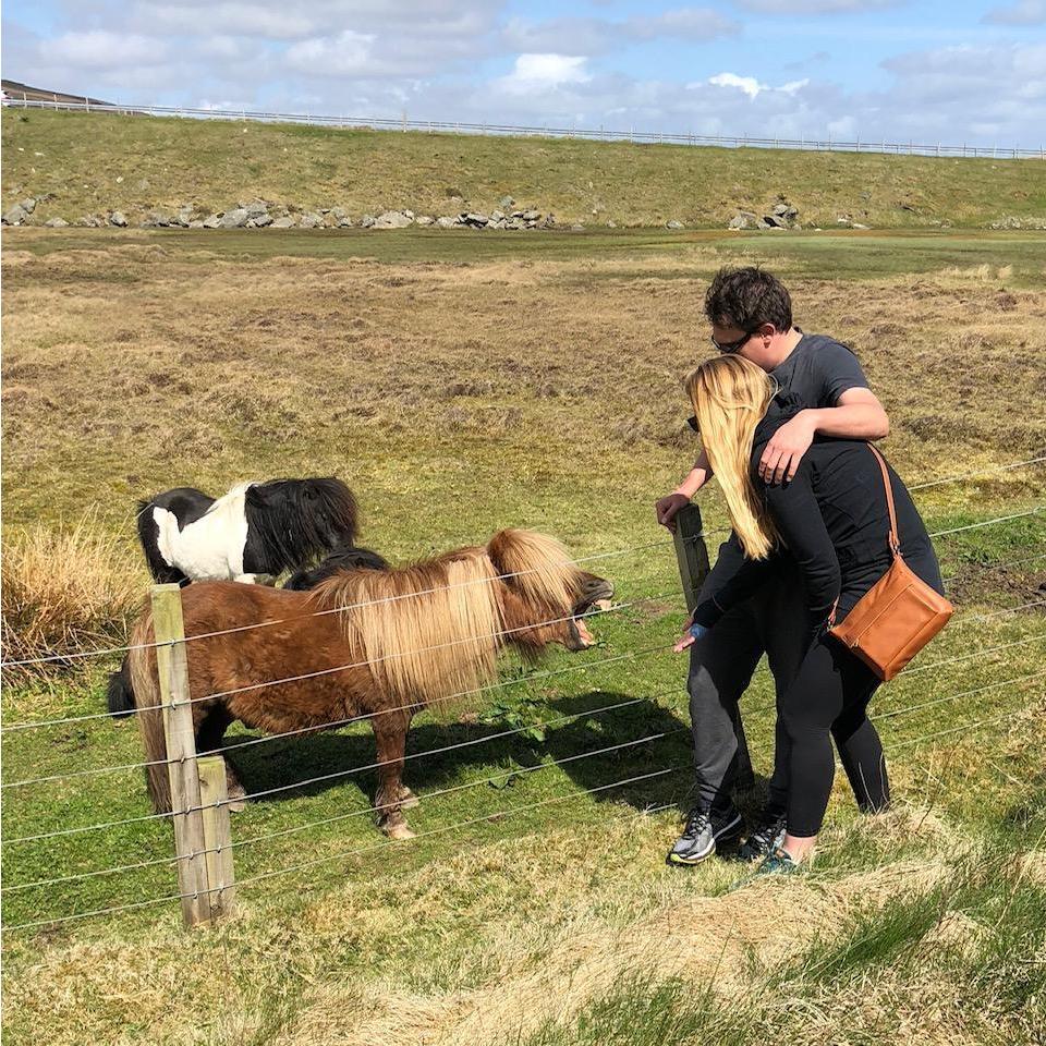 Majestic Shetland Ponies - May 2018