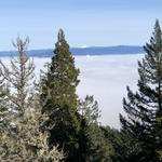 Spencer Butte Trail #2