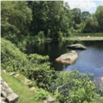 Connecticut College Arboretum