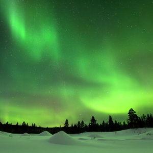 Northern Lights Night