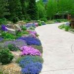 Betty Ford Alpine Gardens