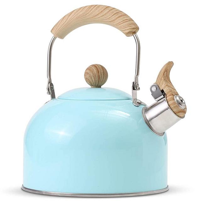 ROCKURWOK Tea Kettle, Stovetop Whistling Teapot, Stainless Steel, Blue, 2.43-Quart