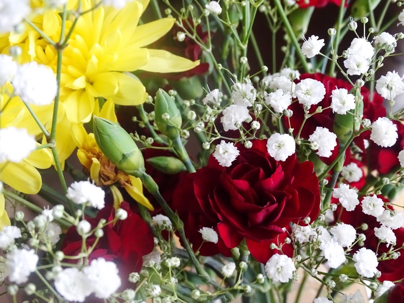 The Wedding Website of Stephanie Calderon and Tyler Cascone