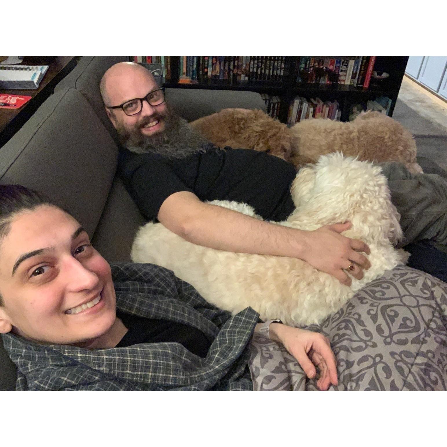 Dog-sitting