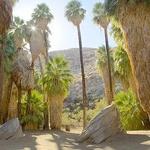 Andreas Canyon Trailhead