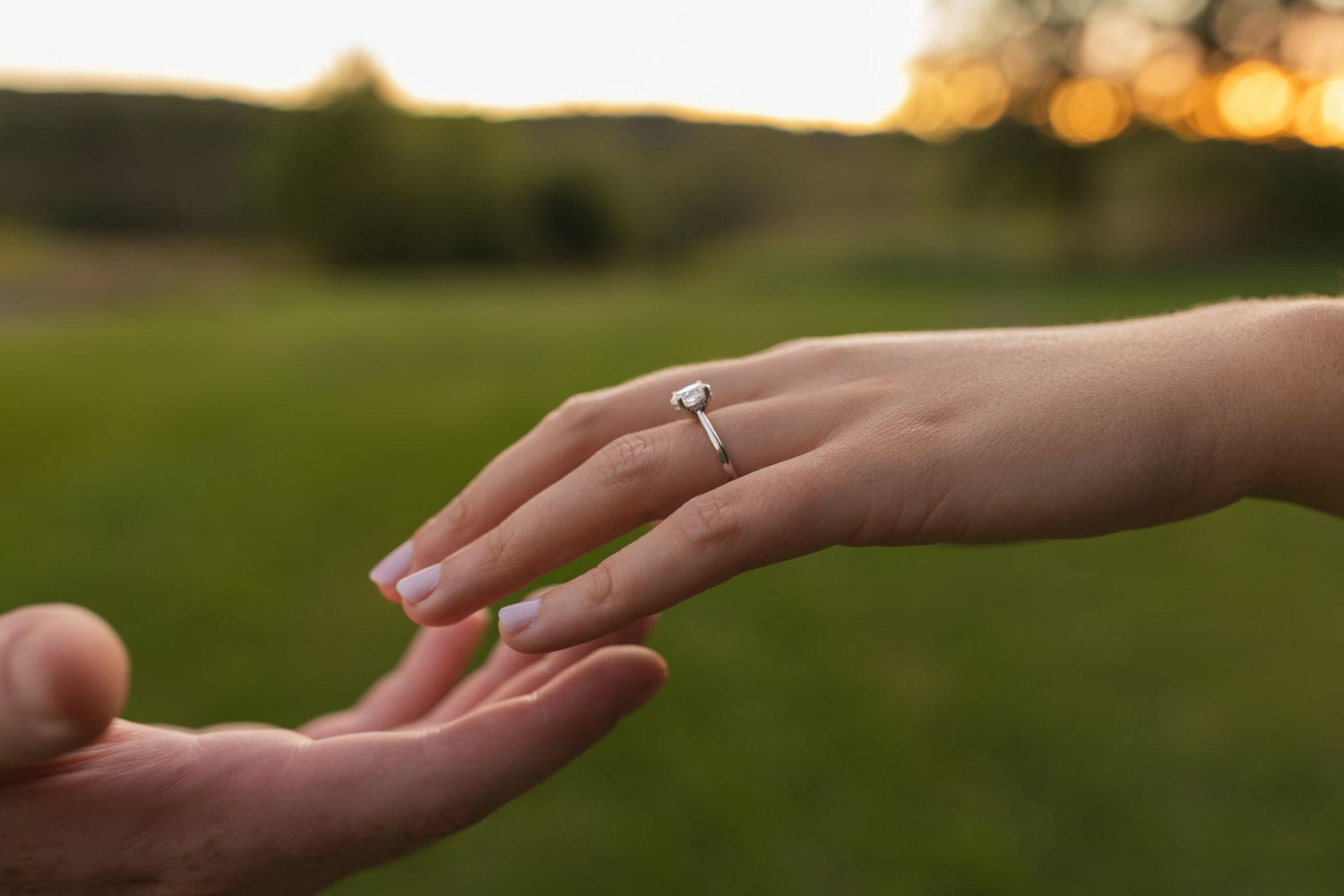 The Wedding Website of Amber Lynn Ford and Nicholas Mark Davis