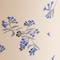 Lilac Flowers