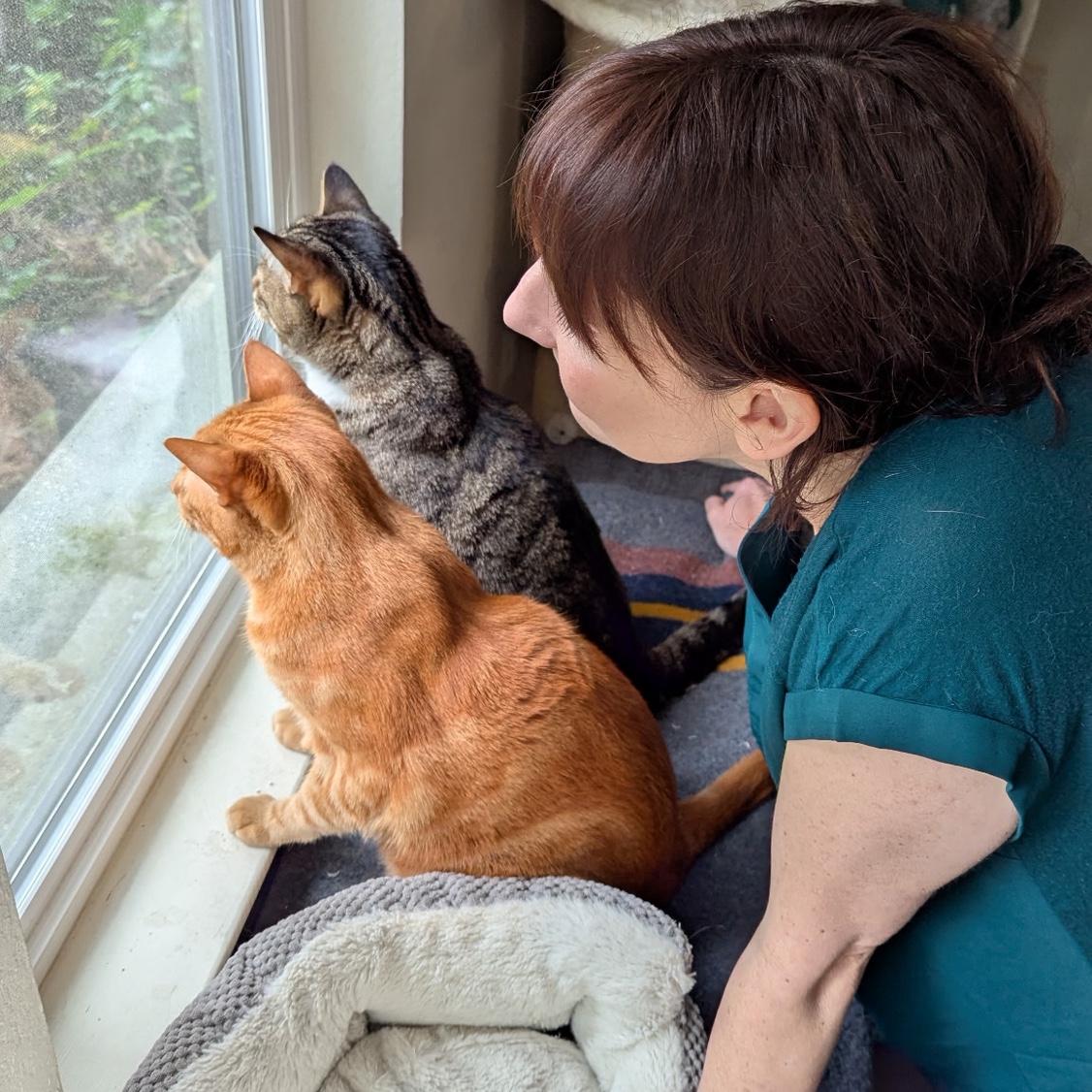 Window babies